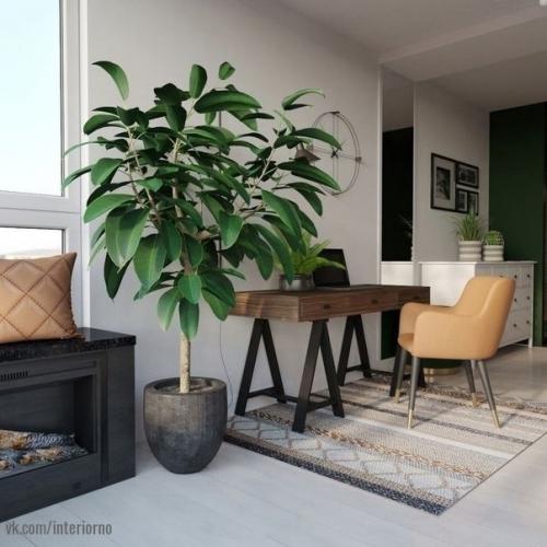 Зеленый цвет связующее звено в это проекте. 02