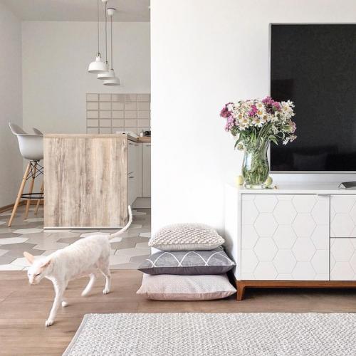 Наше светлое и уютное гнездышко?  