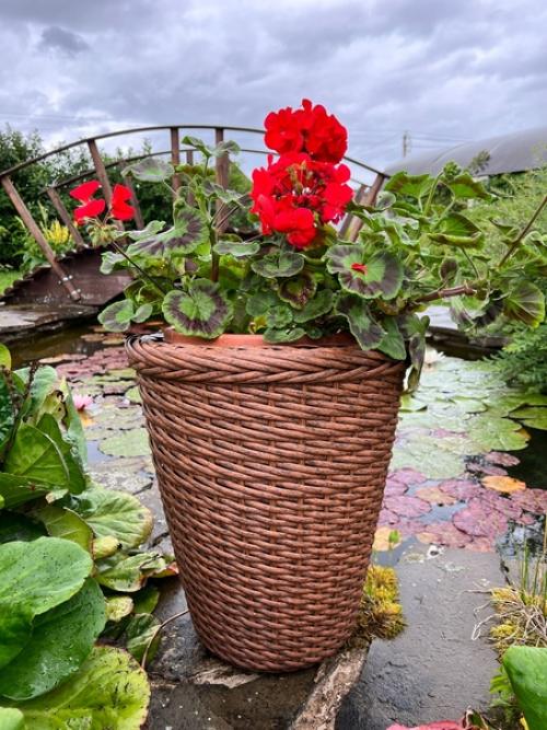 Это вопрос, который задают себе те, кто хочет добавить нотку роскоши и стиля в свой дом или сад. 03 Это вопрос, который задают себе те, кто хочет добавить нотку роскоши и стиля в свой дом или сад. 03