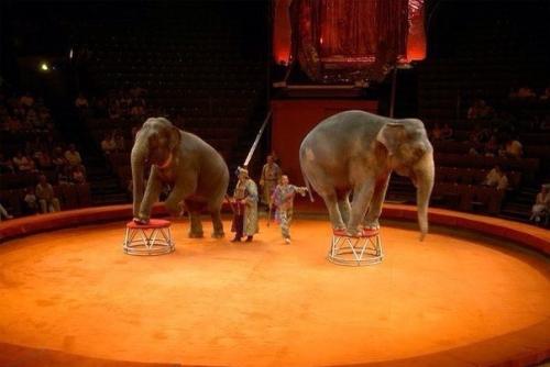 9 идей как провести выходные в Москве. 04