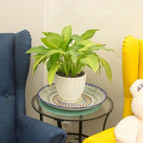 У яркой красивой хозяйки яркий дом с тщательно и с любовью подобранным декором в восточном стиле. 02