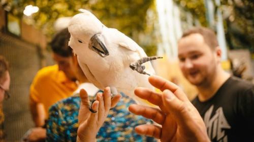 Контактные зоопарки Москвы могут быть интересны не только детям: топ - 6 лучших мест. 07