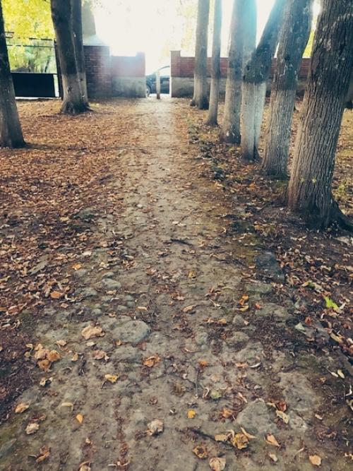 * усадьба актрисы императорского московского театра г. н. Федотовой *. 05