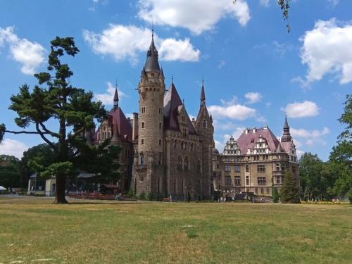 Фантастически красивое место - замок в польской деревне мошна. 06