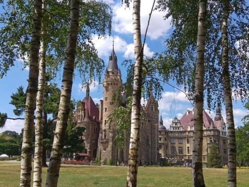 Фантастически красивое место - замок в польской деревне мошна. 05