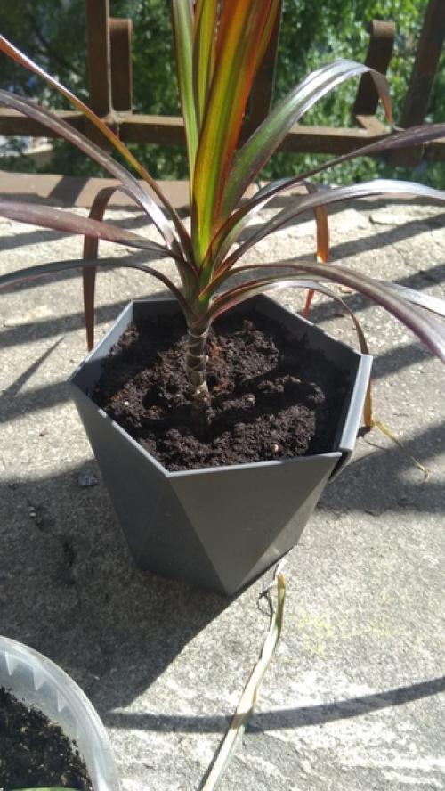 Спбшмот. Всем привет! 05