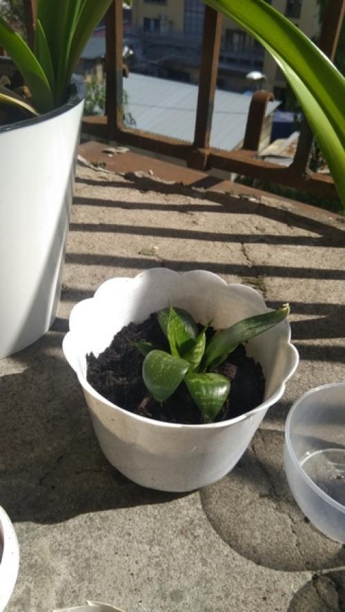 Спбшмот. Всем привет! 03