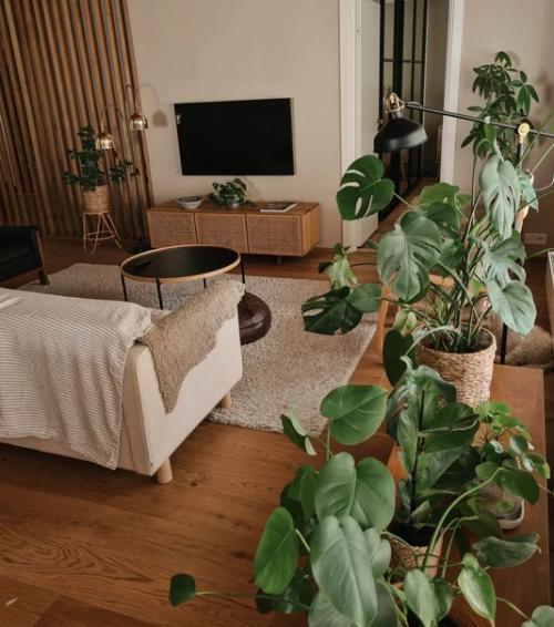 Невероятно уютный и тёплый интерьер с большим количеством дерева и растений. 03