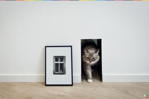 Мансардный лофт в Польше. 05