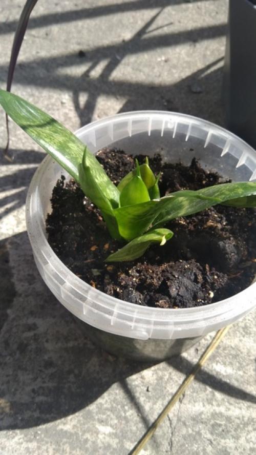 Спбшмот. Всем привет! 06