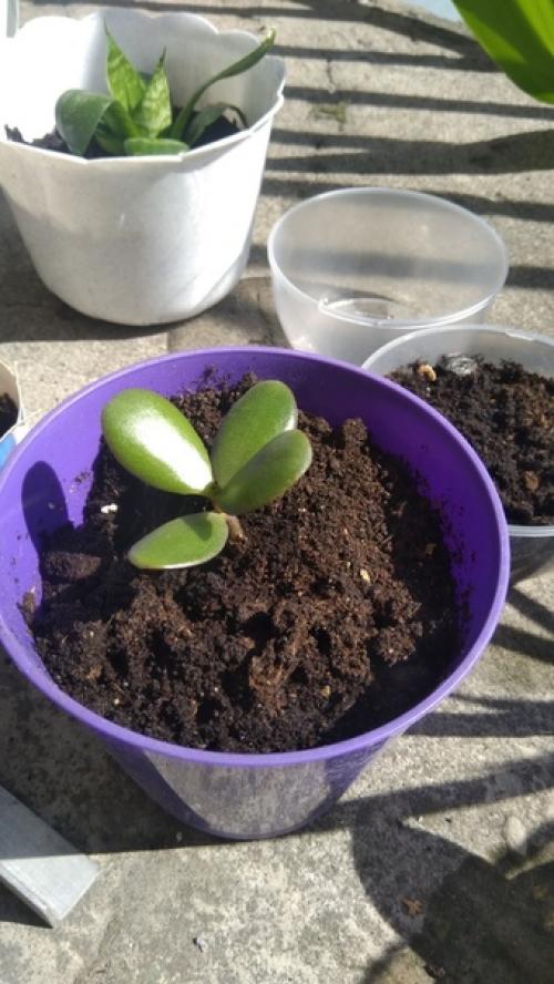 Спбшмот. Всем привет! 07