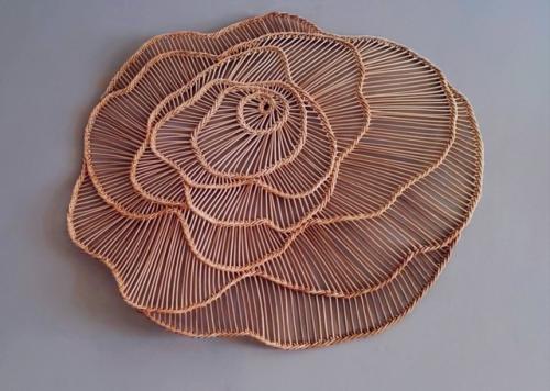 Преимущества бумажной лозы. 07 Преимущества бумажной лозы. 07