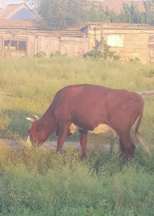 Путешествие 2023.  День 11. 01