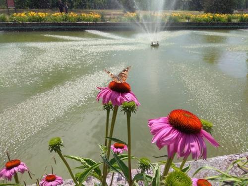 Фантастически красивое место - замок в польской деревне мошна. 01