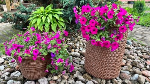 Это вопрос, который задают себе те, кто хочет добавить нотку роскоши и стиля в свой дом или сад. 01 Это вопрос, который задают себе те, кто хочет добавить нотку роскоши и стиля в свой дом или сад. 01