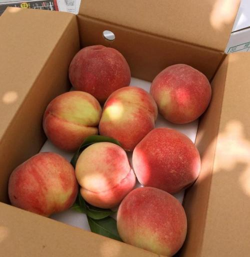 Эстетика в стиле гестии, богини огня и домашнего очага. 01