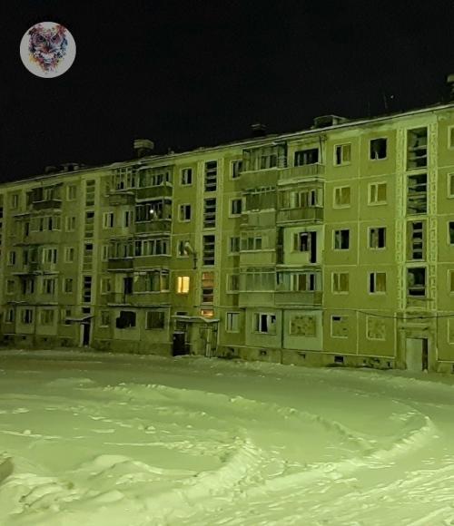 В воркутинском посёлке воргашор, который постепенно пустеет, остался один необычный жилец. 02