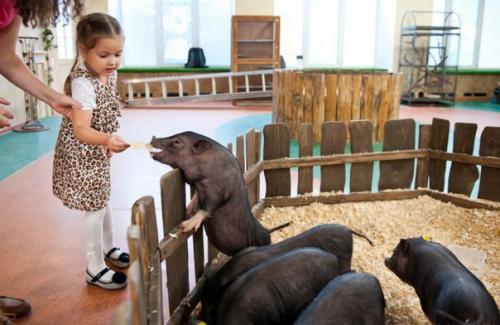 Контактные зоопарки Москвы могут быть интересны не только детям: топ - 6 лучших мест. 04