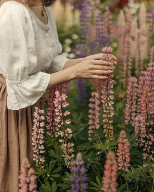 Люпины почти отцвели, а я только добралась до этих кадров. 02