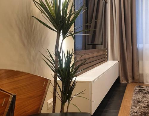 Фрагменты реализованного дизайн - проекта. 05