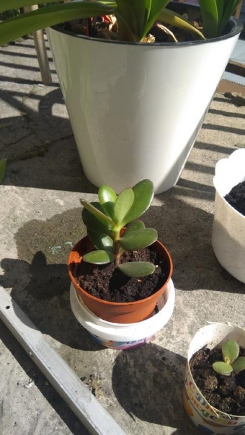 Спбшмот. Всем привет! 04