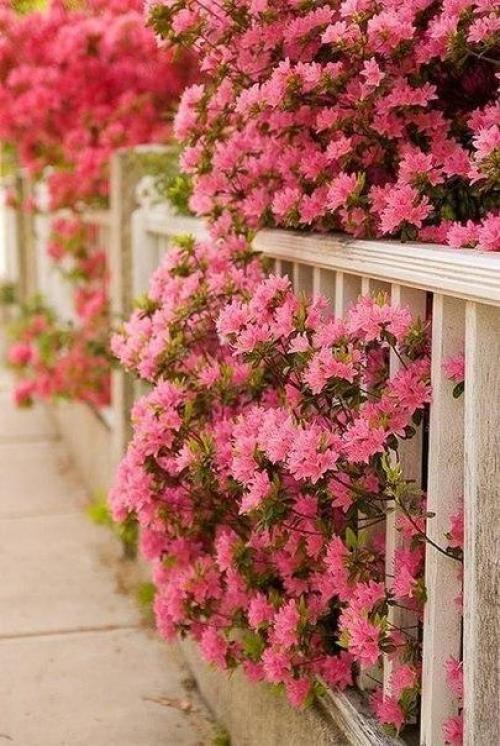 Идеи к лету. 03