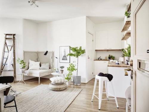 Шведская квартира для одного человека или молодой семьи. 04