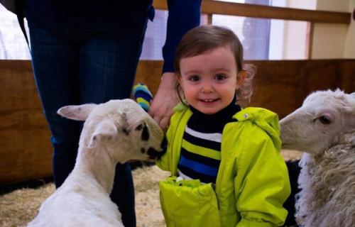 Контактные зоопарки Москвы могут быть интересны не только детям: топ - 6 лучших мест. 06