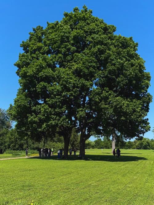 Посетил усадьбу Лермонтова в тарханах - место, где оживает творчество великого поэта! 08