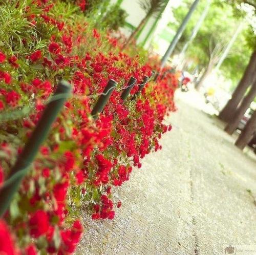 Идеи к лету. 04