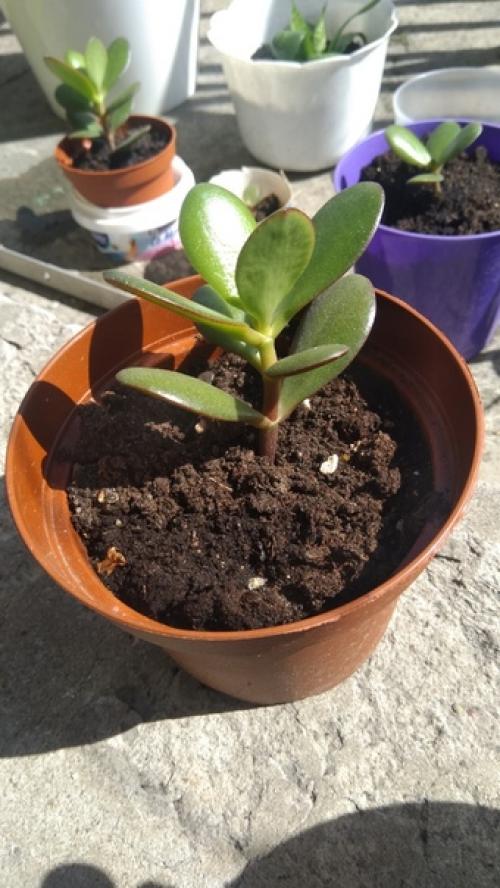 Спбшмот. Всем привет! 08