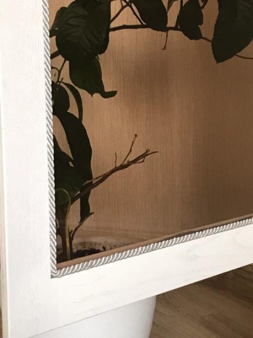 Наша новая работа! 04