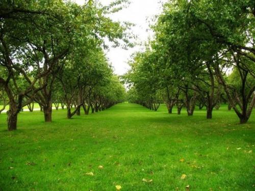 20 мест для самой красивой прогулки в Москве. 01