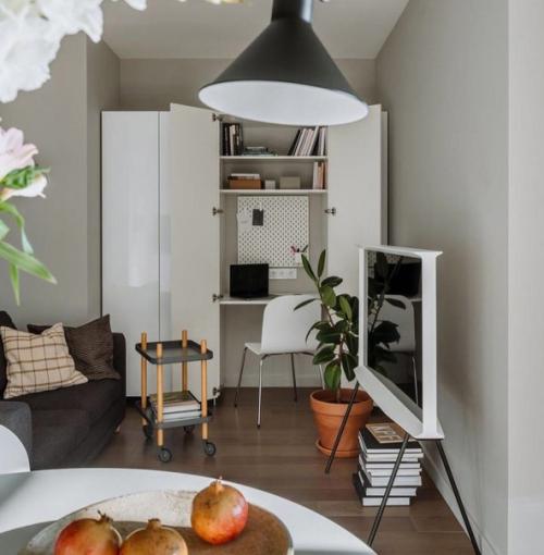 Елена соренсен спроектировала небольшую квартиру для молодой девушки, с расчетом на проживание пары. 01