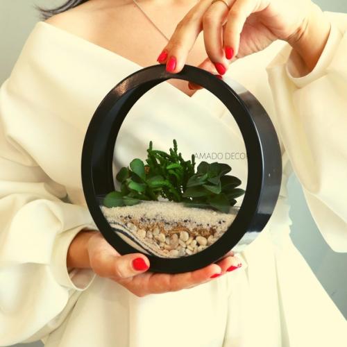 Серия Космо - настенные флорариумы от Amado Decor. 02