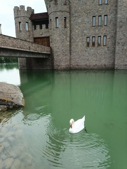 Просто размышления.   Из всех впечатлений в поездке вдруг совпало кое-что. 07