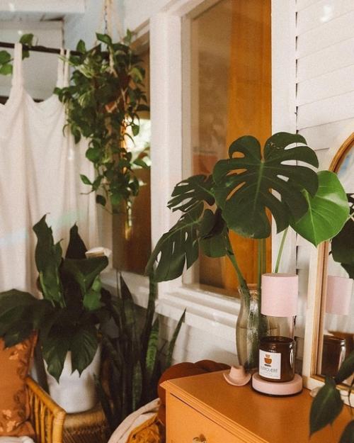 Уютный богемный стиль 70-х в доме с множеством растений. 06