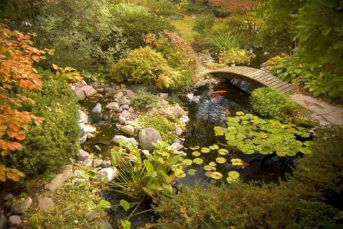 Сады на ВОДЕ.  Сады на воде, также известные как аква - сады, являются одной из разновидностей ландшафтного дизайна. 05