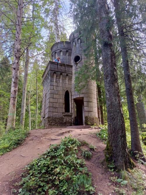 Усадьба Заветное - маленький Версаль - продолжение - от ворот вглубь леса ведет дорога. 04