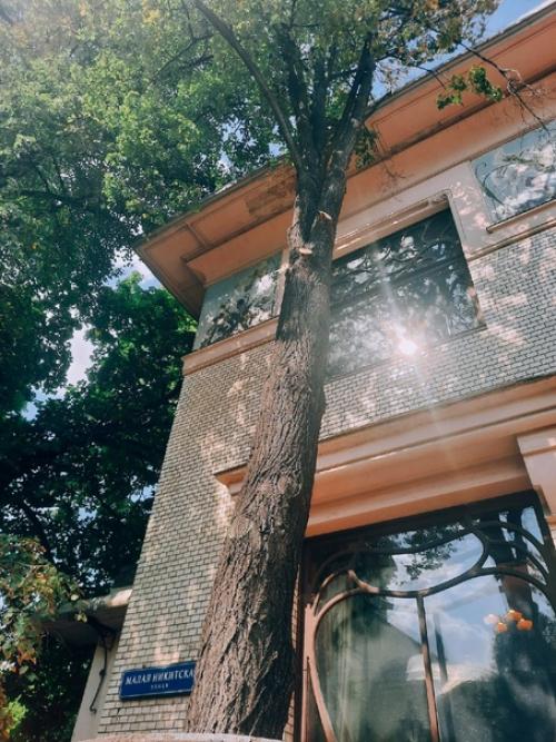 Про этот дом я много читала, я знала, куда еду. 02