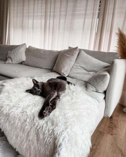 Розовые детали в интерьере дома с шикарным большим диваном в Германии. 04