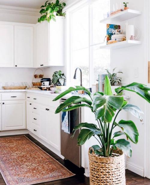 Эко - стиль. Данное стилевое направление в интерьерах домов и офисов распространено. 01