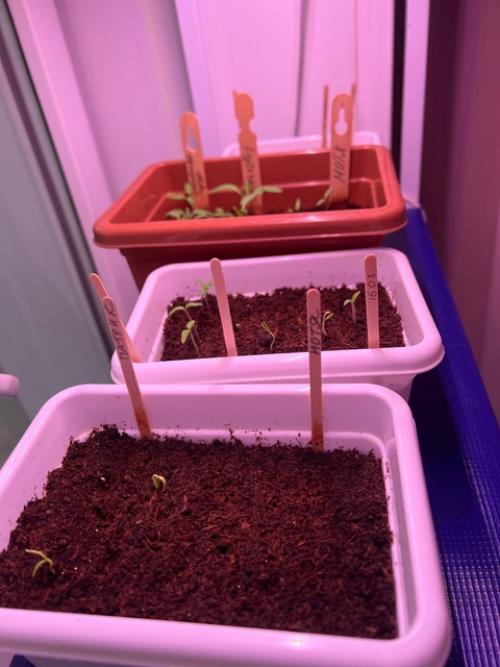 Новый сезон. Я не испытываю грусти по уходящему лету. 01