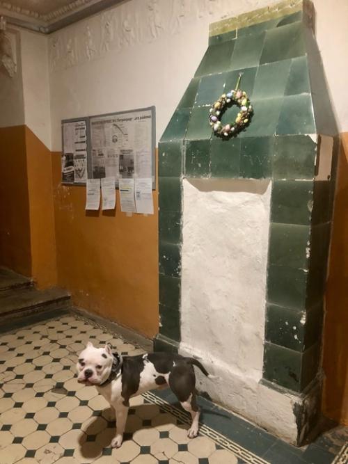 Санкт-петербург особенный город, в котором не обязательно посещать дворцы и музеи, чтобы увидеть исторические и художественные ценности. 04