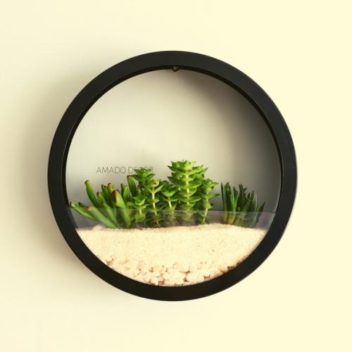 Серия Космо - настенные флорариумы от Amado Decor. 01