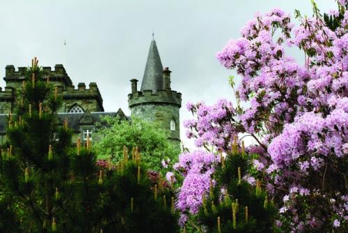 Замок инверари и его интерьеры. 04