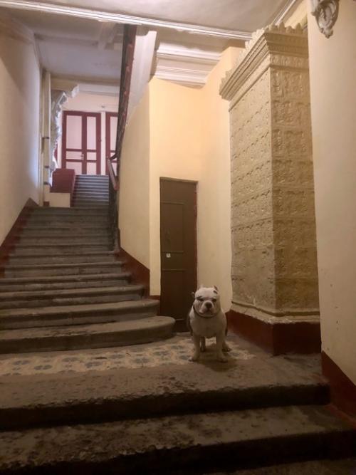 Санкт-петербург особенный город, в котором не обязательно посещать дворцы и музеи, чтобы увидеть исторические и художественные ценности. 02