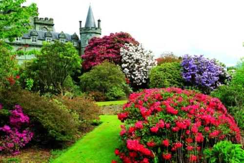 Замок инверари и его интерьеры. 03