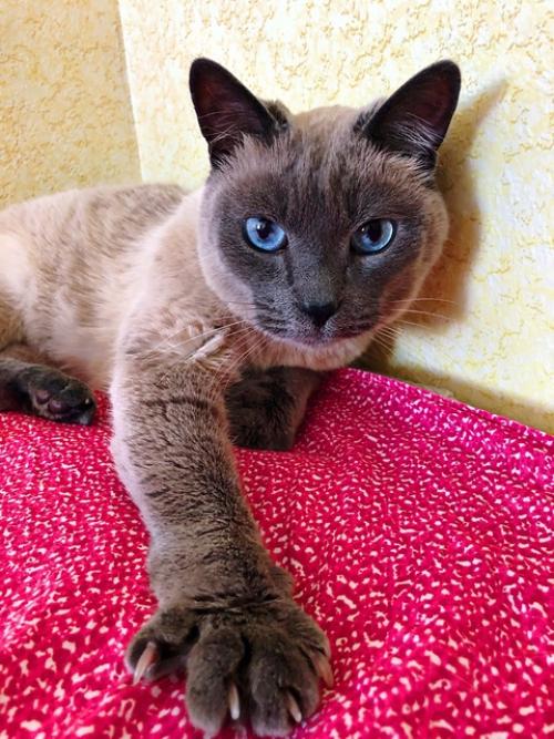 Живи ярко.  Исполняй мечты. 02