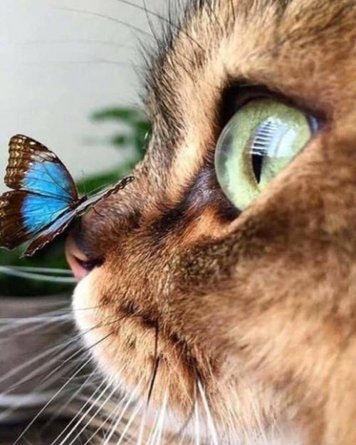 К декору детской комнаты необходимо подходить с не меньшей серьезностью, чем к интерьеру своей гостиной. 02